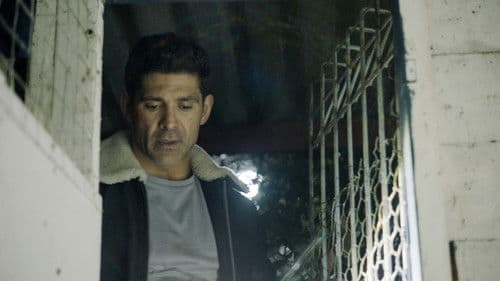 Life After Fighting Bild 6