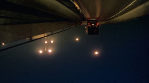 Happy Together Bild 3