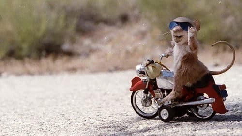 Runaway Ralph Bild 2