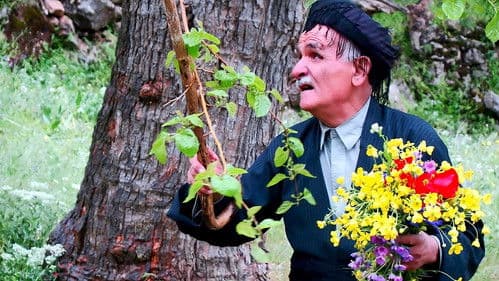 سەما لەگەڵ خودا دەکەم Bild 2