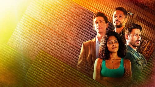 Terra e Paixão Bild 1