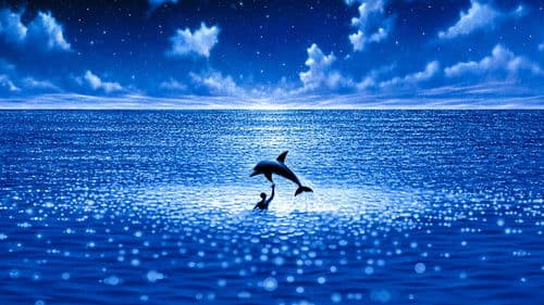 Im Rausch der Tiefe Bild 5