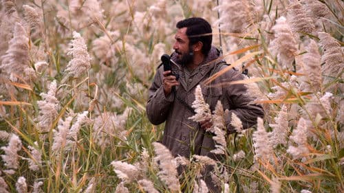 موقعیت مهدی Bild 1