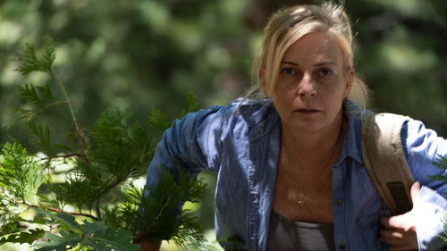 In the Forest Bild 2