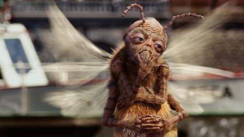 Tajemství a smysl života Bild 4