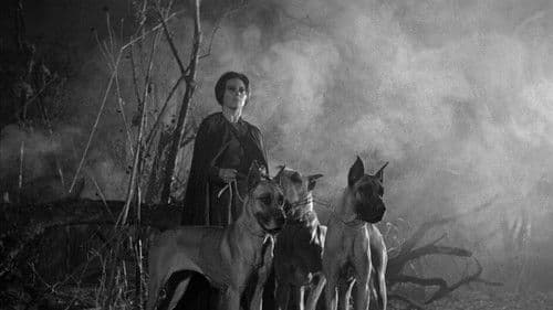 La maldición de la Llorona Bild 2