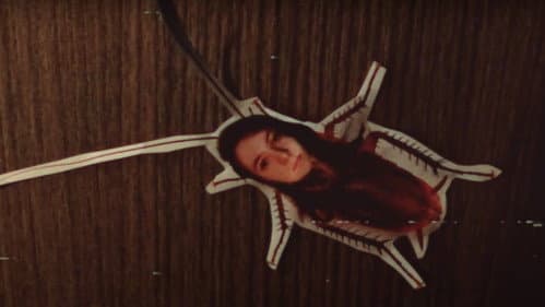 Transmutação Dilacerante Bild 1