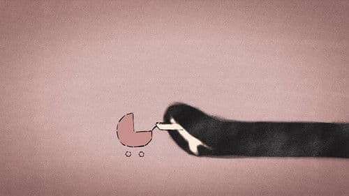 Jsi mé světlo Bild 1