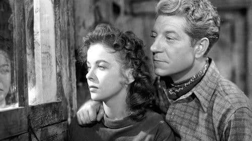 Nacht im Hafen Bild 1