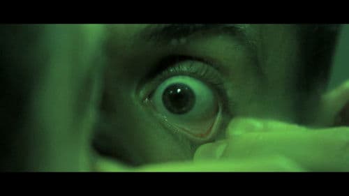 Lenny's Laundry Bild 1