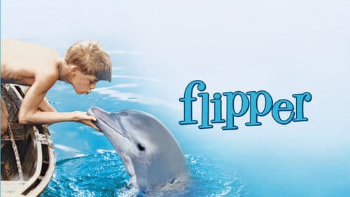 Flipper Bild 3