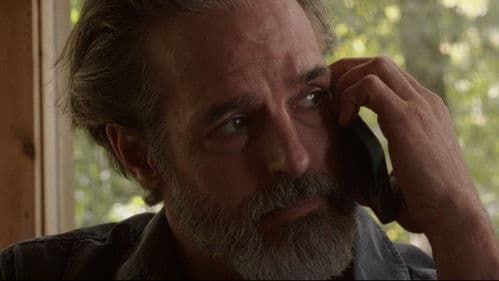 The Preakness Bild 5