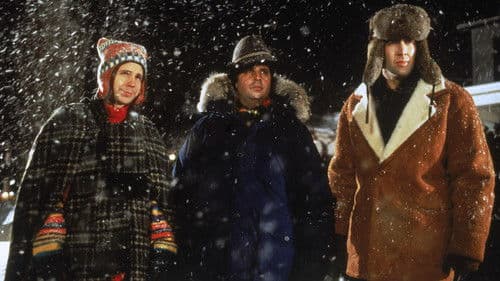 Schneesturm im Paradies Bild 8