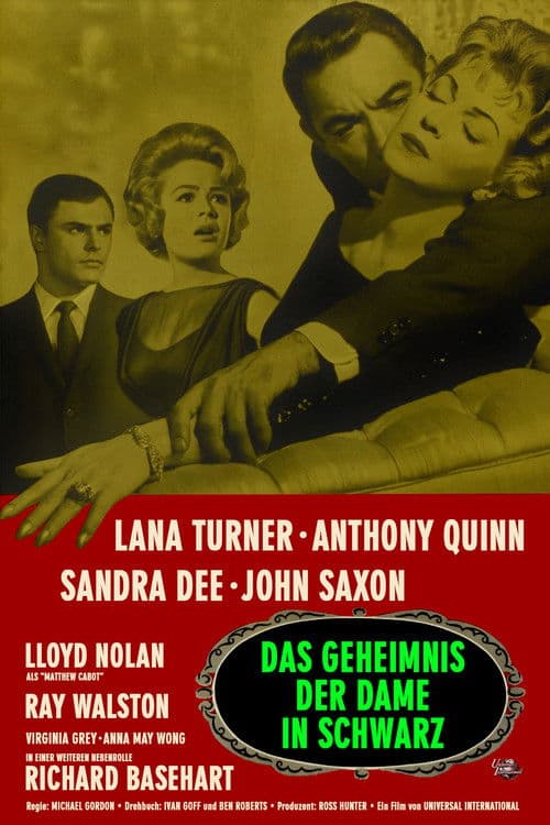 Das Geheimnis der Dame in Schwarz