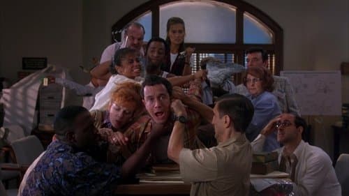 Chaos! Schwiegersohn Junior im Gerichtssaal Bild 1