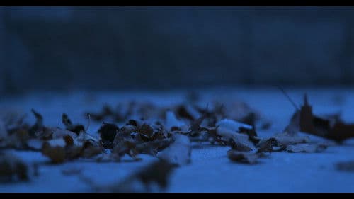 Blood Is Thicker Than Water Bild 3