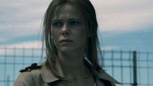 Tartarughe sul dorso Bild 1