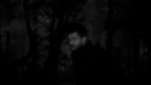 NORTHEASTERN TREES Bild 1