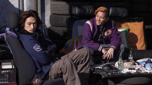 アリーキャット Bild 4