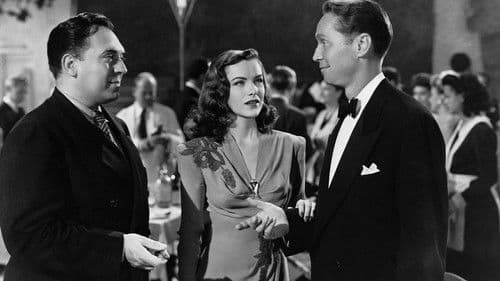 Zeuge gesucht Bild 4