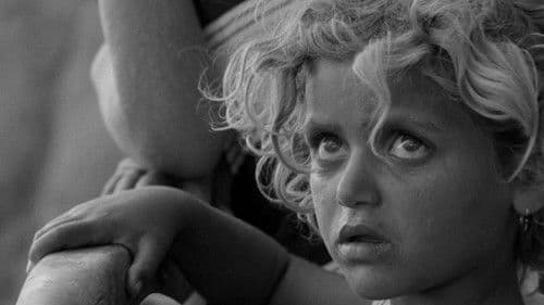 Θηραϊκός όρθρος Bild 1