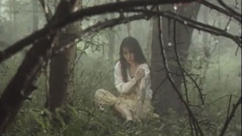 監禁逃亡　美しき獲物たち Bild 3