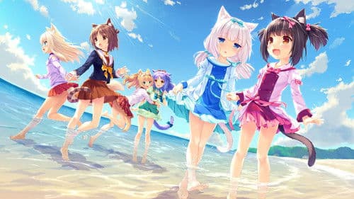 NekoparA Bild 7