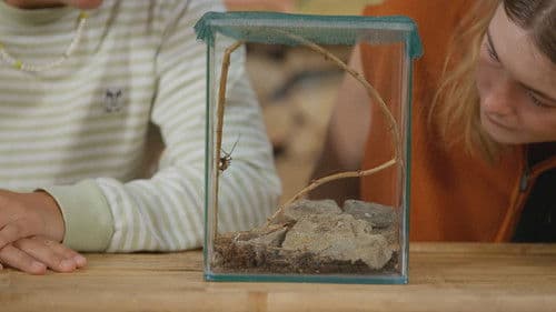 Steken en Prikken Bild 3