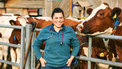 Tierärztin 24/​7 Bild 4