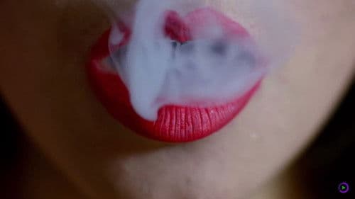 Django: Sangre de mi sangre Bild 3