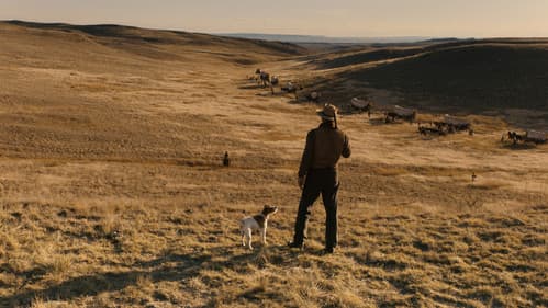The Ballad of Buster Scruggs Bild 4