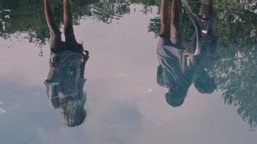 Summer Animals Bild 2