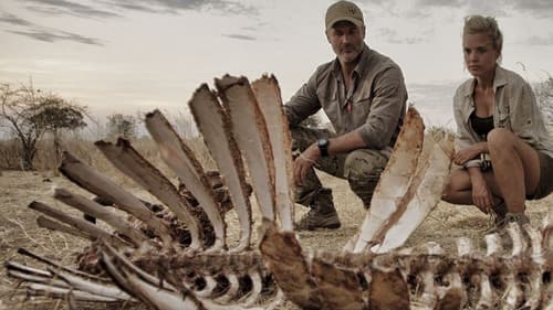 Predators Up Close with Joel Lambert Bild 3