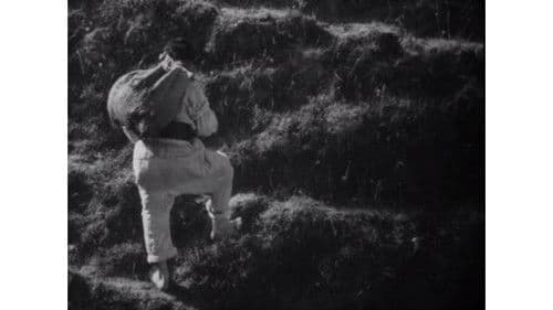 Камінний хрест Bild 2