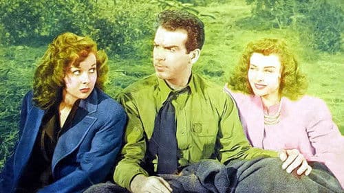 The Forest Rangers Bild 1