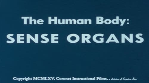The Human Body: Sense Organs Bild 1