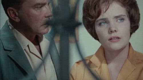 Mäed kui valged elevandid Bild 1