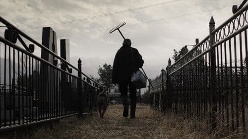 Հիմնավոր մաքրություն Bild 5