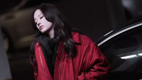 프로젝트 Y Bild 5