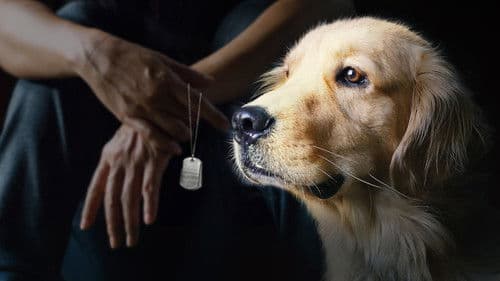 To Be of Service Bild 1