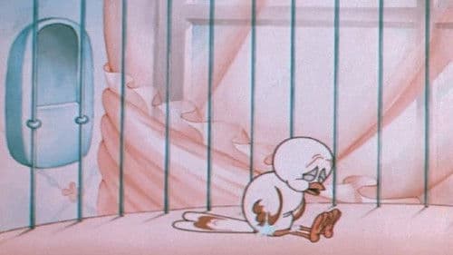 The Discontented Canary Bild 1