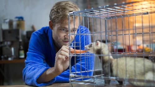 Voor Elkaar Gemaakt Bild 8