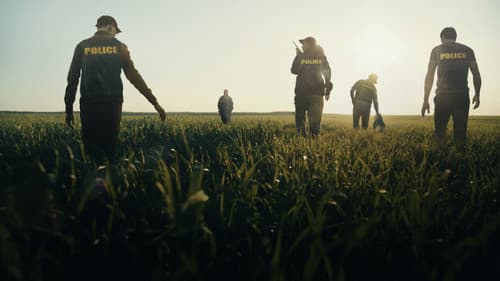 Missing: Dead or Alive? Bild 4