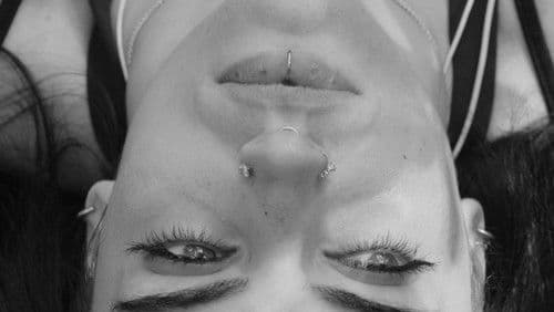 Pavo Cristatus Bild 1