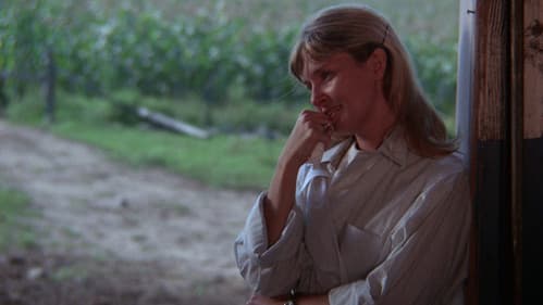 Die Liebe eines Sommers Bild 4