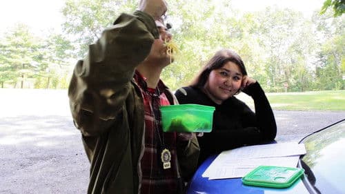 A Meowy St. Patrick's Day Bild 1