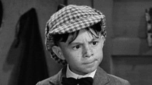 Darla und die Detektive Bild 2