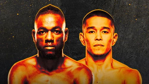 UFC Fight Night 253: Kape vs. Almabayev Bild 1