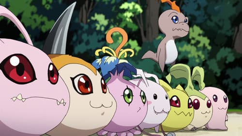 Digimon Adventure tri. Chapter 3: Confession Bild 5