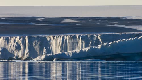 Life - Das Wunder Leben Bild 6